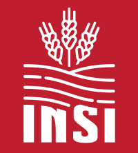 Logo insi